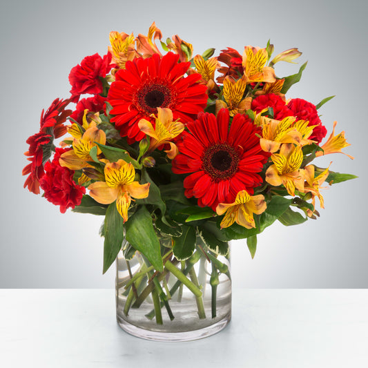 Bright & Bold Gerbera Bouquet